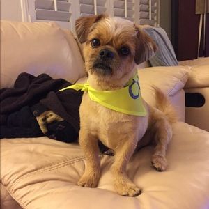 Meet your Posher, Kate